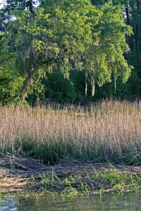 Beaufort SC 2012 087+