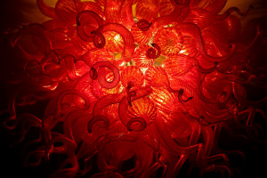 Chihuly Light art 2750+