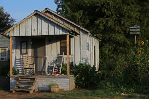 Shack with Flowers+