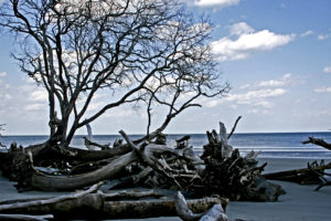 Beaufort SC 2012 209+