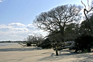 Beaufort SC 2012 242+