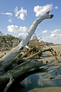 Beaufort SC 2012 272+