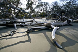 Beaufort SC 2012 283+