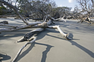 Beaufort SC 2012 286+