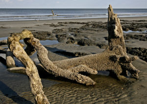 Beaufort SC 2012 352+