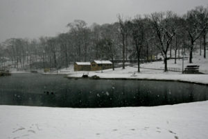 Avondale Park Snow 1