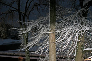 Highland Snow at Night