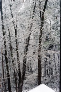 Snow 1982  2 C-134001